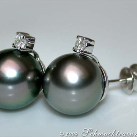 Pretty Tahitian Pearl Studs with Diamonds in White gold 14k