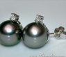 Pretty Tahitian Pearl Studs with Diamonds in White gold 14k
