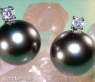 Pretty Tahitian Pearl Studs with Diamonds in White gold 14k