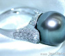 Superb Tahitian Pearl Ring with Diamond Collar