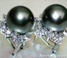 Pretty "Star" Studs with Tahitian Pearls & Diamonds