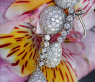 Pretty Pear and Ball Earrings with Diamonds