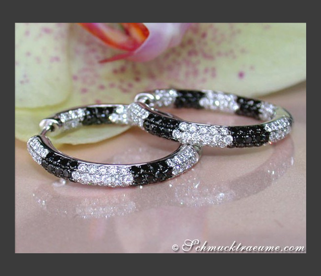 Attractive Hoops with Black & White Diamonds Attractive Hoops with Black & White Diamonds