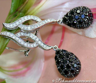 Wonderful Black & White Diamond Earrings
