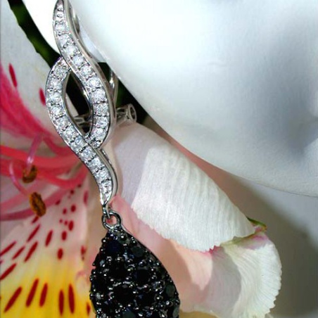 Wonderful Black & White Diamond Earrings