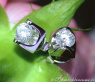 Elegant Diamond Solitaire Studs (0,70 ct.)