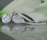 Noble Illusion Design Diamond Teardrop Earrings
