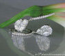 Noble Illusion Design Diamond Teardrop Earrings