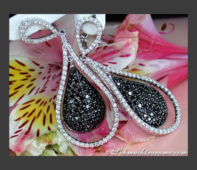Beautiful Black & White Diamond Dangling Earrings Beautiful Black & White Diamond Dangling Earrings