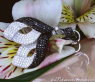 Magnificent Dangling Earrings with Black & White Diamonds