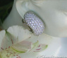 Wavy Diamond Earrings