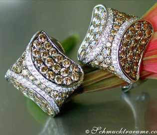 Attractive Brown & White Diamond Studs