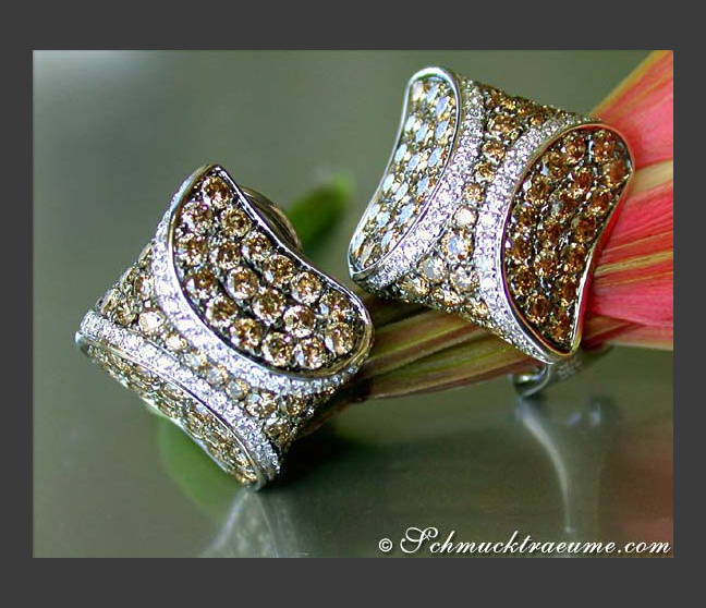 Attractive Brown & White Diamond Studs Attractive Brown & White Diamond Studs