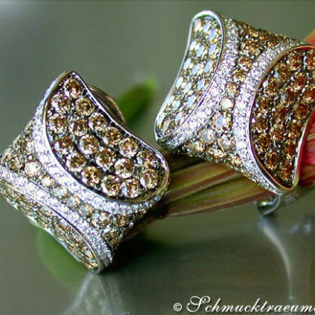 Attractive Brown & White Diamond Studs