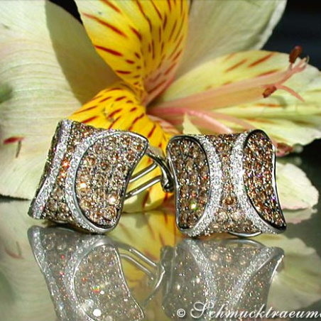 Attractive Brown & White Diamond Studs