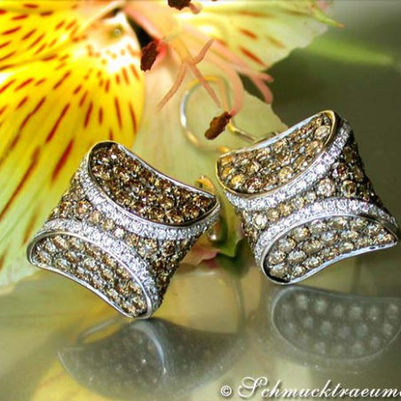 Attractive Brown & White Diamond Studs