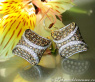 Attractive Brown & White Diamond Studs
