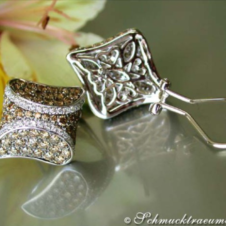 Attractive Brown & White Diamond Studs