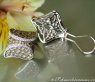 Attractive Brown & White Diamond Studs