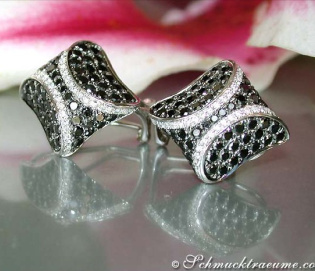 Interesting Black & White Diamond Studs