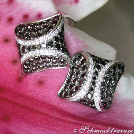 Interesting Black & White Diamond Studs