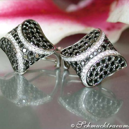 Interesting Black & White Diamond Studs