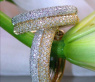 Timeless Diamond Hoops (Two Tone Finish)