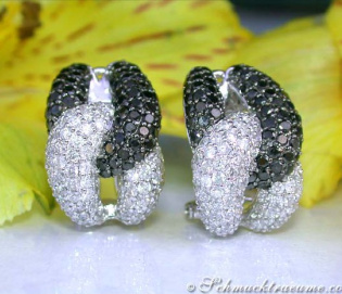 Rich Black & White Diamond Earrings