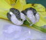 Rich Black & White Diamond Earrings