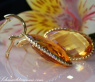 Stunning Citrine Earrings