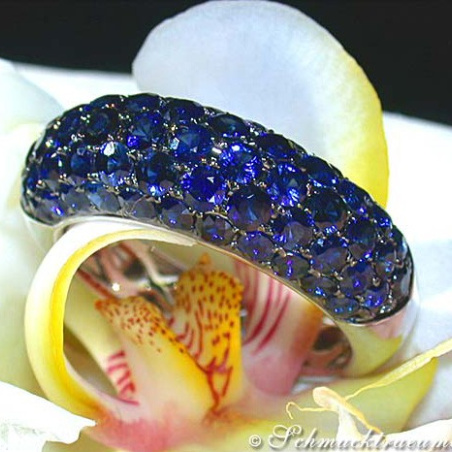 Saphir Pavé Ring in Weißgold 585