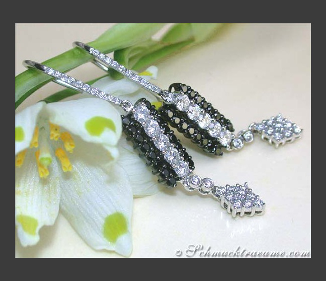 Beautiful Earrings with Black & White Diamonds Beautiful Earrings with Black & White Diamonds