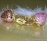 Strawberry Style Dangling Earrings with Pink & Yellow Sapphires
