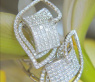 Exclusive Princess Diamond Earrings