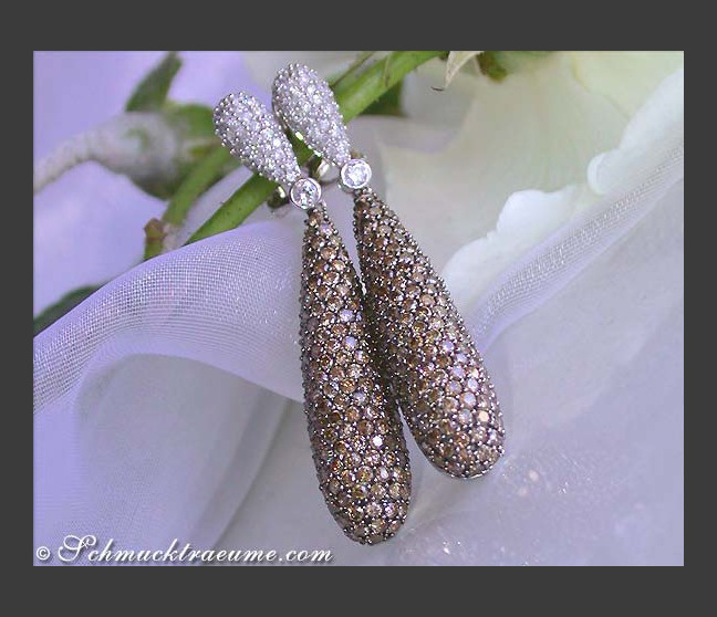 Prächtige Ohrringe mit braunen Diamanten Prächtige Ohrringe mit braunen Diamanten