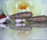 Magnificent Natural Brown & White Diamond Earrings