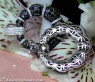 Opulent Black & White Diamond Earrings