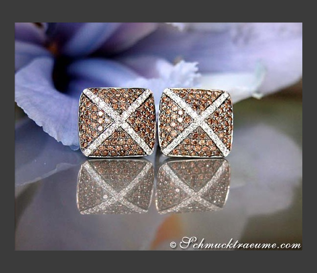 Extraordinary Brown & White Diamond Stud Earrings Extraordinary Brown & White Diamond Stud Earrings