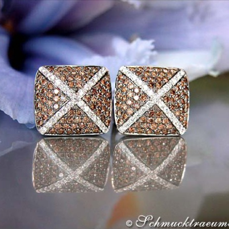 Extraordinary Brown & White Diamond Stud Earrings