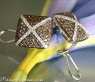 Extraordinary Brown & White Diamond Stud Earrings
