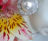 Sensational South Sea Pearl Earrings with Diamonds