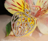 Fabulous Diamond Heart Pendant