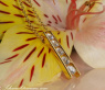 Elegant Diamond Solitaire Pendant on Chain