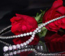 Exquisite Diamond Y-Necklace