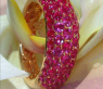 Precious Ruby Pave Ring