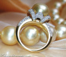 Gorgeous Golden Southsea Pearl Diamond Ring (Collar Style)