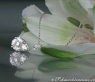 Picture Perfect "Illusion Style" Diamond Pear Pendant