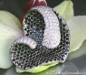 Top-class Black & White Diamond Heart Pendant