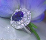 Superb Ceylon Sapphire Diamond Ring