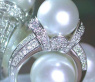 Südseeperle Ring mit Brillanten in Weißgold